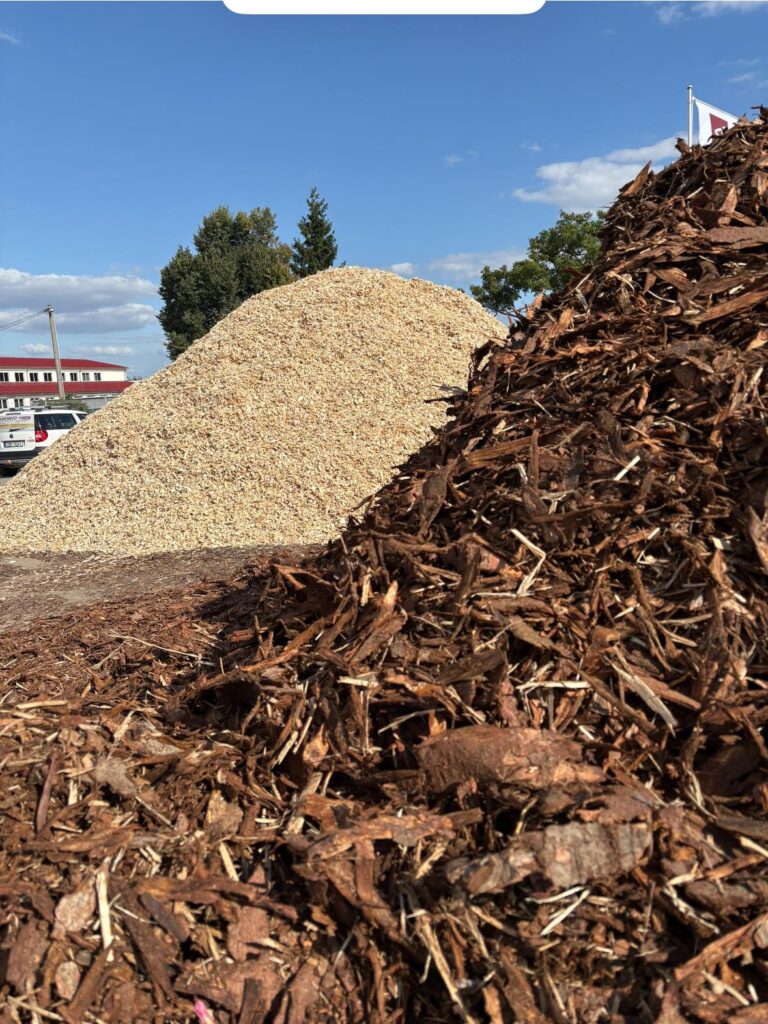 539568971_122170112690572961_3282384613163693918_n